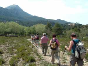 Wanderinsel Mallorca