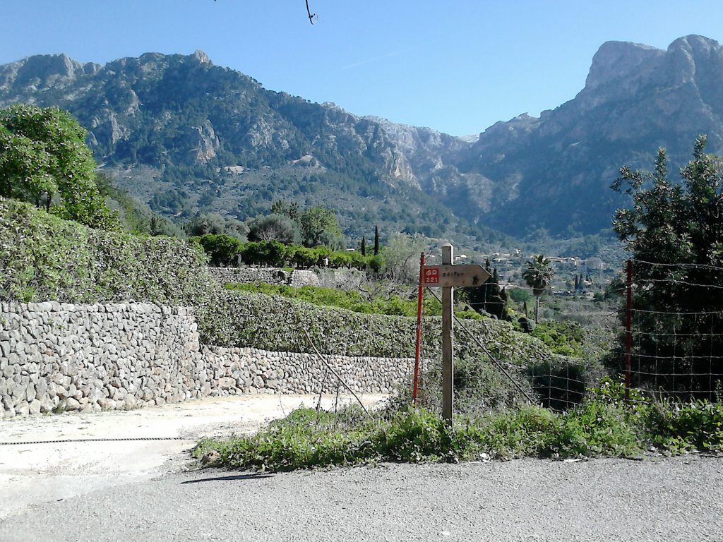 soller