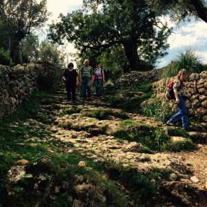 Trekking in der Tramuntana