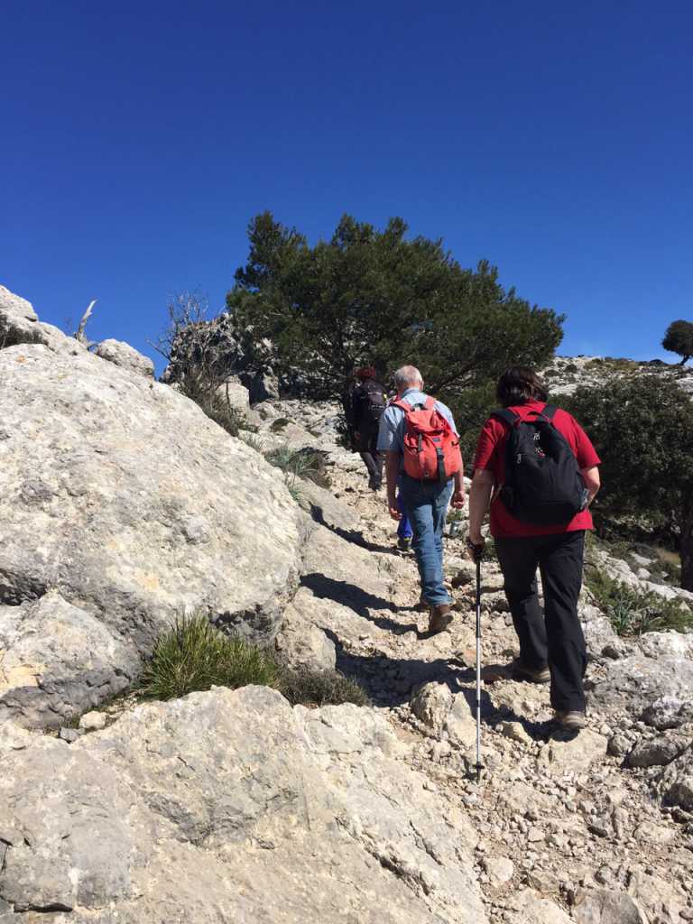 suche wanderpartner