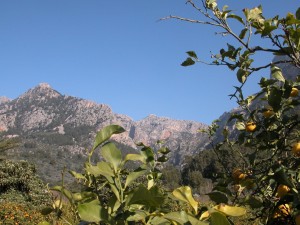 Tramuntana-Gebirge soll Weltkulturerbe werden