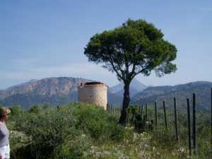 Von Esporles nach Valldemossa