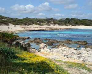 Leichte Wanderungen auf Mallorca