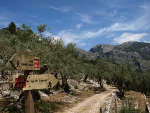 Wanderweg Castell d'Alaró und Tossals Verds frei