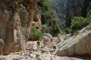 Wanderführer auf Mallorca