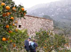 spanischwanderung soller